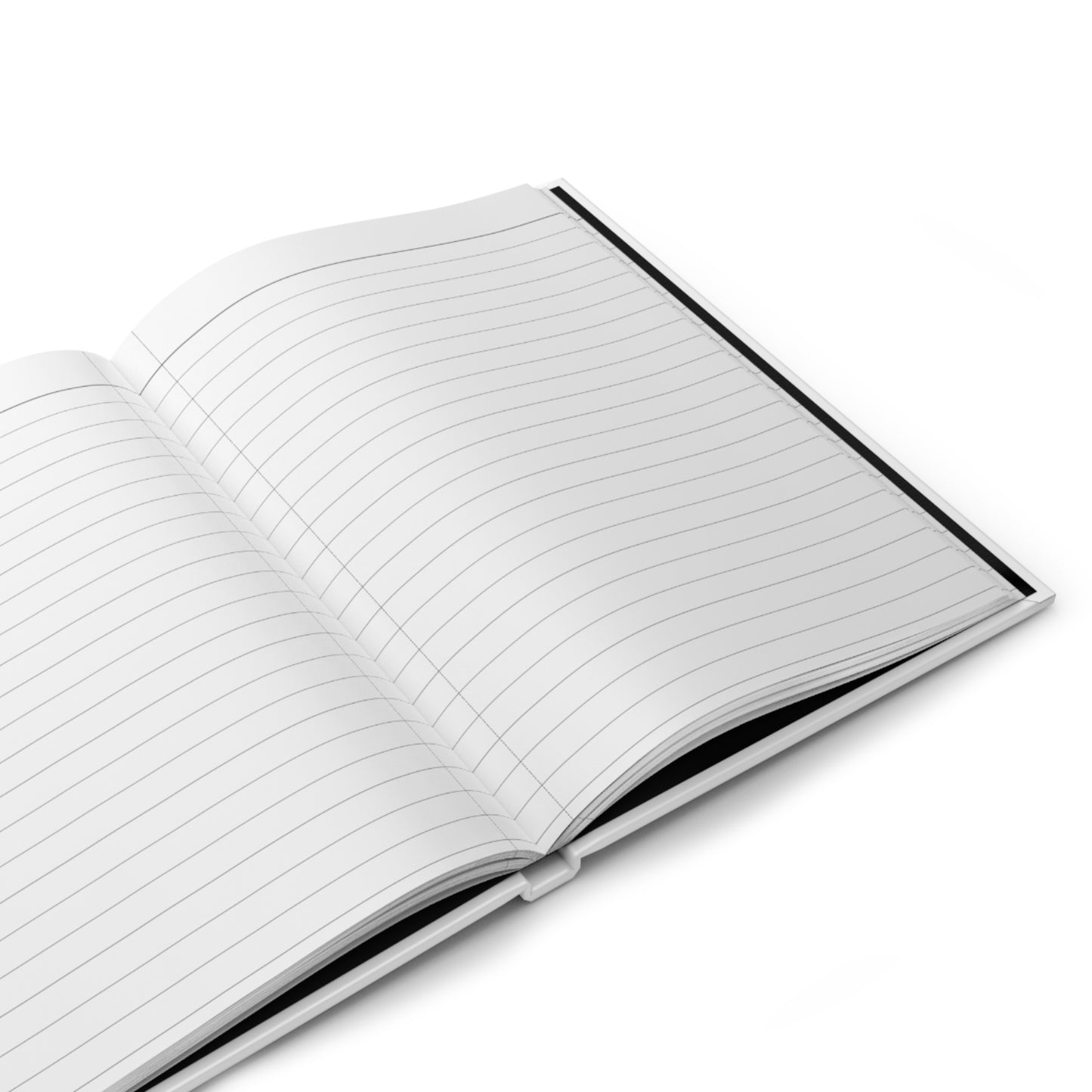 The Rapidian Reporters Notebook